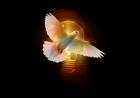 Incantations Of The Spirit 