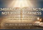 Embrace His Strength Not Your Weakness