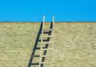 Jacob's Ladder Is A Person