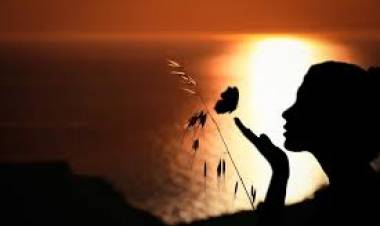 The Seeker