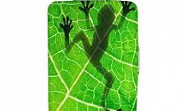 Deal with your baggage