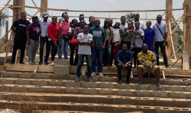 Curiousity and the cat