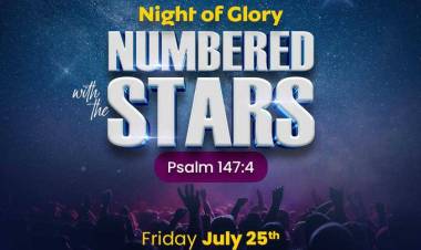 Numbered With The Stars 