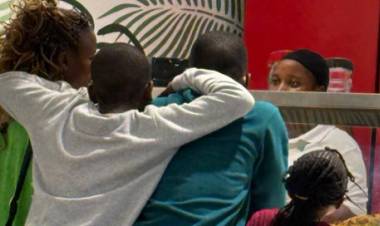 The Dove And The Nest