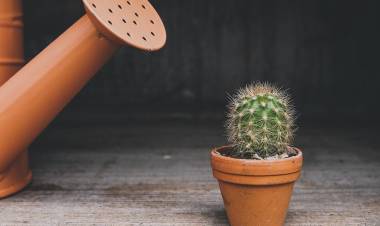 Balanced Growth Towards 30