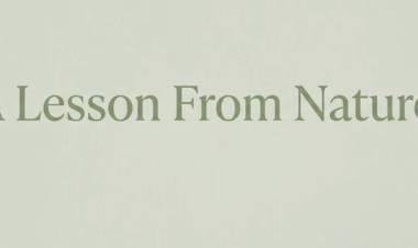 A Lesson From Nature