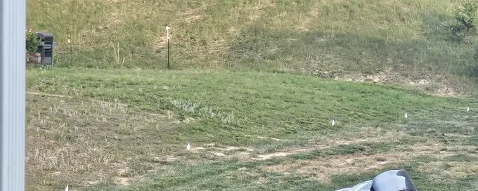 Persistence Pays, Keep At It