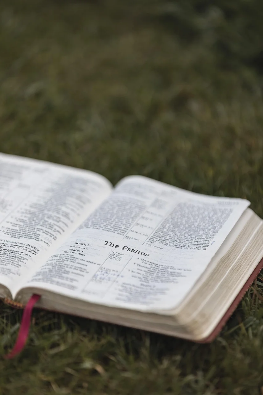 What Does The Bible Say?