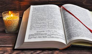 The Bible Reveals God To You 