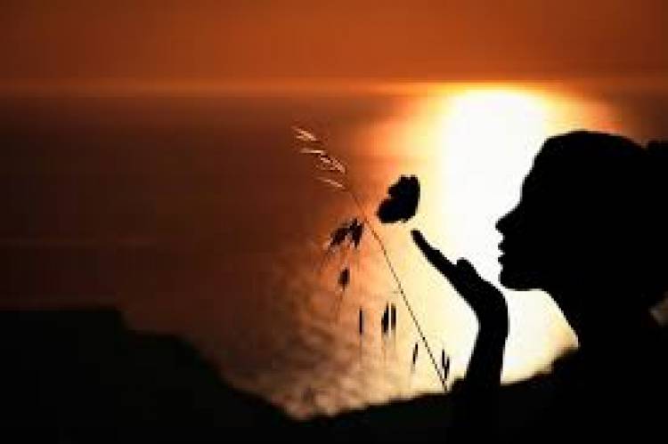 the seeker the who lesson the seeker the who lesson