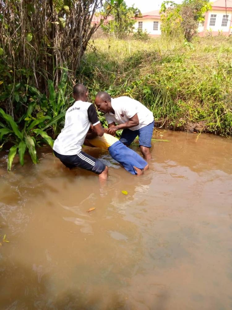 Unusual Tongues in Kwara