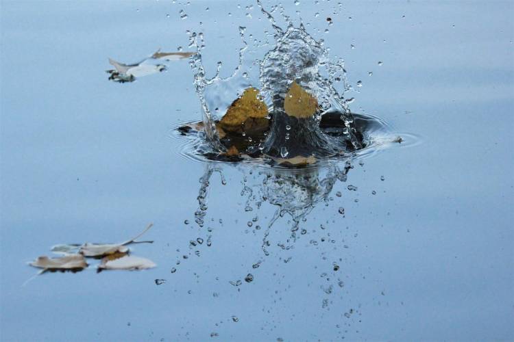 Prophecy Fulfillment