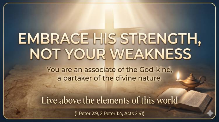 Embrace His Strength Not Your Weakness