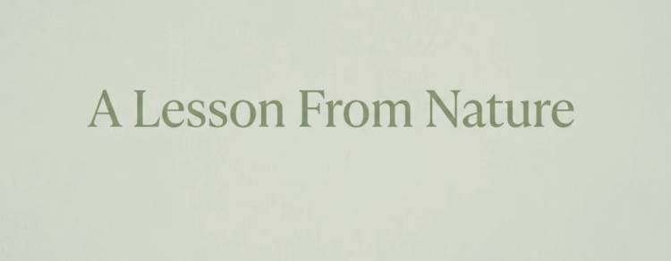 A Lesson From Nature
