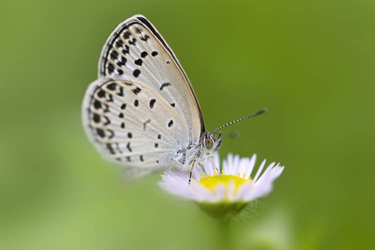 How Grace Heals What Trauma Broke